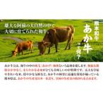 あか牛 100%ハンバーグ 120g×6個