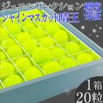 ぶどう 2026年 受付中 シャインマスカット晴王