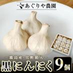 <化粧箱入り> 黒にんにく詰め合わせ 9個入り