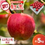 りんご 5kg