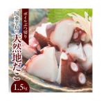 国東半島の天然地だこ 1.5kg_0013N-2