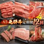 A5 飛騨牛 定期便 12回 天狗 牛肉 ステーキ
