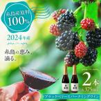 2024年産 糸島産ブラックベリースパークリングワイン 375ml