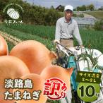 ふるさと納税 淡路市 【訳あり】今井ファームの淡路島たまねぎ 10kg【サイズ混合S〜2L】 ai01100