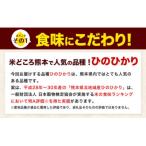 令和7年産 無洗米 ひのひかり 20kg