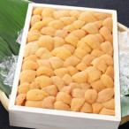 ふるさと納税 根室市 エゾバフンウニ(赤系)約250g×1折[2026年3月上旬以降発送] C-71028