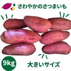 さわやかのサツマイモ 大きいサイズ 9kg