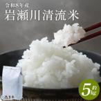 こしひかり コメ 白米 精米 ご飯 新鮮 旨味 大粒