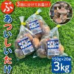 国分グリーンファームの採れたて ぶあついしいたけ 約1kg×3…
