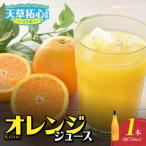 Kittoo オレンジジュース_S168-006
