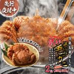 ふるさと納税 新ひだか町 <2026年2月中旬から順次発送>訳あり 北海道産浜ゆで毛ガニ 2尾(1尾あたり250g〜300g)