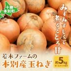ショッピングふるさと納税 玉ねぎ ふるさと納税 本別町 令和7年度産北海道十勝本別町若木ファームの玉ねぎ約5kg