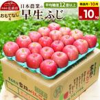 りんご 葉とらずサンふじ おもてなし用 約10kg