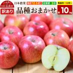 りんご 品種おまかせ 約10kg