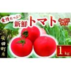 産トマト1kgと田野屋紫蘭の完全天日塩