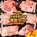 ふるさと納税 都農町 ≪6か月お楽しみ定期便≫宮崎県産牛&豚の満腹セット(総重量7kg) 肉 牛 牛肉_T030-186