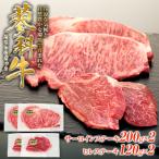 蓼科牛サーロインステーキ200g×2