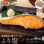 ふるさと納税 倉吉市 【1切れずつ真空冷凍】 関金サーモン ふり塩切り身 480g(60g×8切れ) 鮭 さけ シャケ