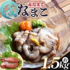 活ナマコ 1.5kg
