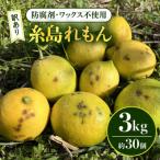 糸島れもんB3kg 30個前後