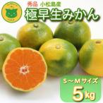 極早生みかん 秀品 5kg
