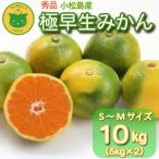 みかん 秀品 極早生みかん 10kg