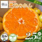 ふじ農園の露地みかん 訳あり品 2.5kg