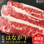 熟成肉 はなが牛 ロースステーキ 2枚