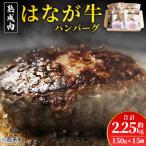 添加物不使用 つなぎ不使用 はなが牛ハンバーグセット 15個…