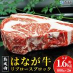 熟成肉 はなが牛リブロースブロック 800g×2個