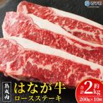 熟成肉 はなが牛 ロースステーキ 10枚