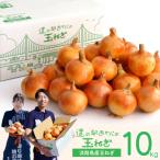 ショッピングふるさと納税 玉ねぎ ふるさと納税 淡路市 道の駅あわじの玉ねぎ10kg箱　aa01013