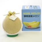 訳あり 静岡マスクメロン OR FN-SupportProject