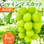 シャインマスカット900g 2~4房