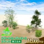 グリーンコーディネートチケット11,000円分