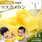 一果相伝マスクメロン 1玉入り- めろん