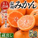 蔵出しみかん 5kg