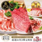 ショッピングふるさと納税 肉 ふるさと納税 南さつま市 【 定期便 】 畜産王国 鹿児島の厳選 お肉 3種(全3回)  牛肉 豚肉 鹿児島県産