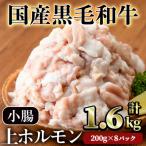 黒毛和牛 小腸 ホルモン 上 焼肉 計1.6kg