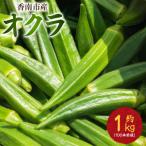オクラ 1kg