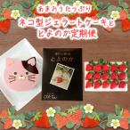 2回お届け いちご ジェラートケーキ とよのか 1箱