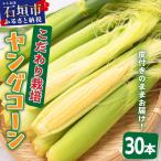 朝採れプレミアムヤングコーンを皮付きのまま30本お届け