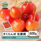 fu.... налог большой камень рисовое поле блок вишня Sato . превосходящий M размер 600g(600g×1) роза ..2026 год производство Yamagata префектура производство 