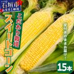朝採れプレミアムスイートコーンを皮付きのまま15本お届け