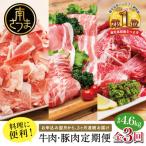 ふるさと納税 南さつま市 【定期便 全3回】鹿児島県産 便利な牛肉・豚肉 定期便 計4.6kg