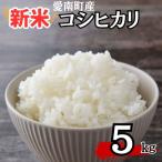 新米 コシヒカリ 5kg