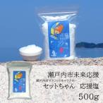 塩 粗塩 セットちゃん 応援塩 500g