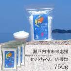 塩 粗塩 セットちゃん 応援塩 750g