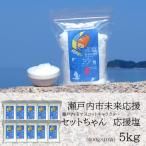 塩 粗塩 セットちゃん 応援塩 5kg