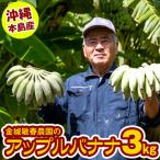 金城敏春農園のアップルバナナ 3kg
